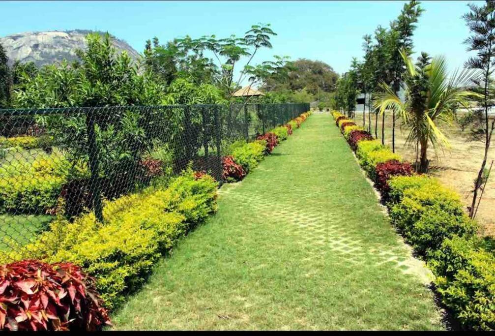 A Glass Haven , Nandi Hills Nandigunda Экстерьер фото